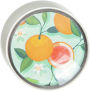 Alternative view 4 of U Brands 6ct Citrus Squeeze Round Glass Magnets