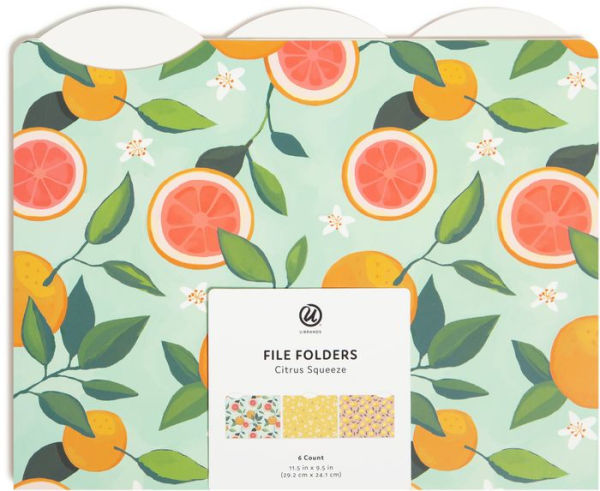 U Brands FSC 6ct Citrus Squeeze File Folders