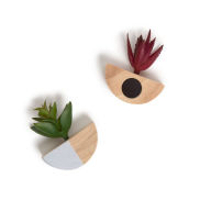 Title: 2ct Succulent Magnets