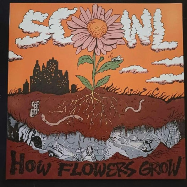 How Flowers Grow