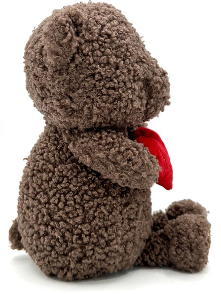 Valentine's Day Bear B&N Exclusive