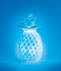 Color Changing Pineapple Mood Light