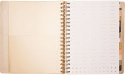 Alternative view 3 of 2025-2026 JT Dragonfly Weekly Desk Planner
