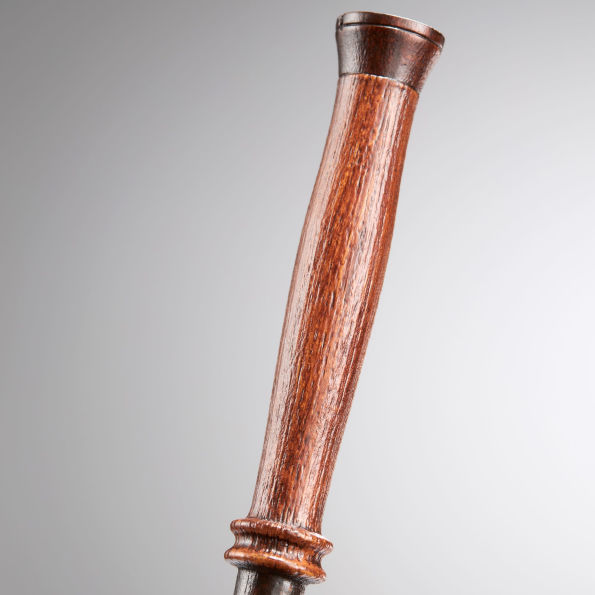 Harry's First Wand