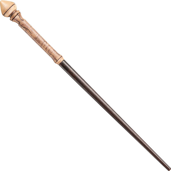 Hermione's First Wand