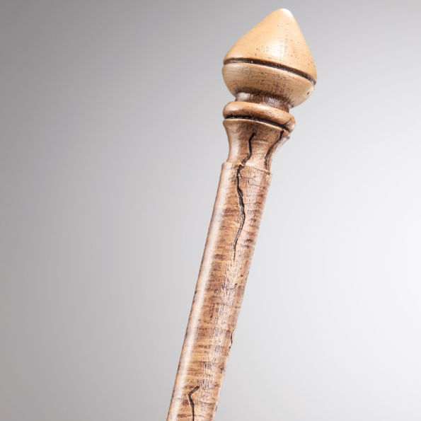 Hermione's First Wand