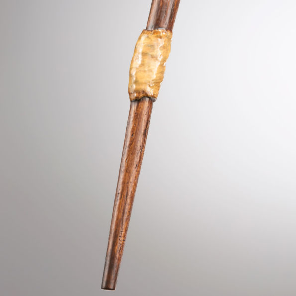 Ron's First Wand