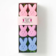 Title: TWEE Duckie's Fluffle #1 Handmade Sidewalk Chalk Set