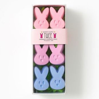 TWEE Duckie's Fluffle #1 Handmade Sidewalk Chalk Set