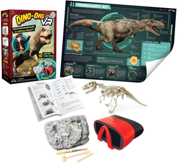 Dino Dig Surprise 2″ Double-Sided Printed Display (8″ x 9″) – Brand Vending  Products