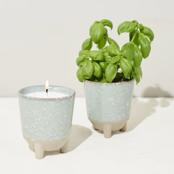 Herb Garden Candle & Basil Glow & Grow Kit