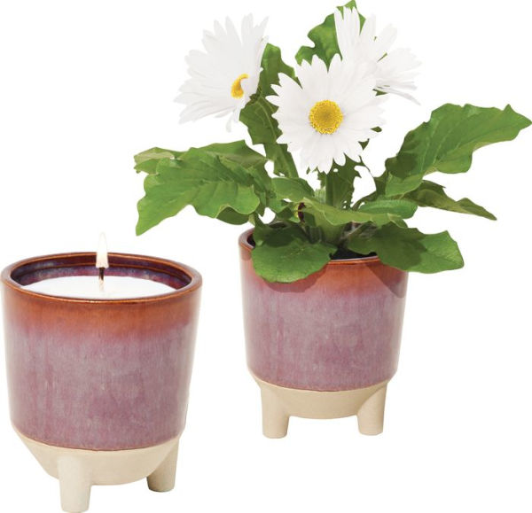 Glow & Grow Wildflower Candle & Daisy Grow Kit