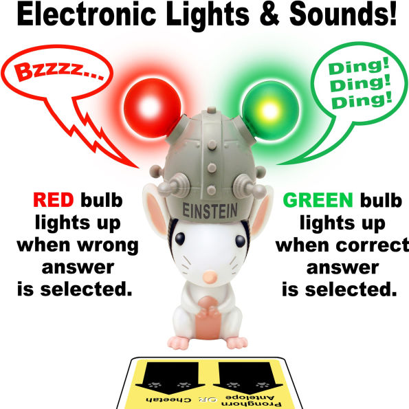 Ask Einstein Deluxe Animals & Dinosaurs