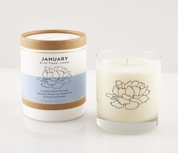 January Carnation Candle in Rocks Glass