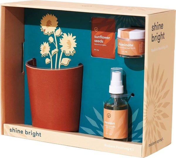 Shine Bright - Radiant Positivity Kit