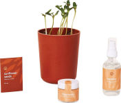 Alternative view 5 of Shine Bright - Radiant Positivity Kit