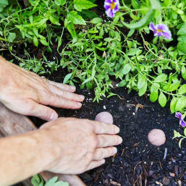 Grow Love Seed Balls