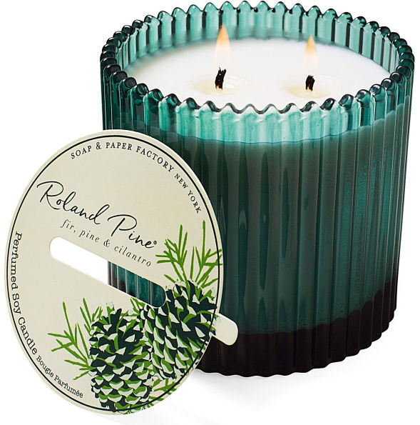 Roland Pine 2-Wick Glass Candle - 14oz