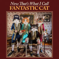 Title: Now That's What I Call Fantastic Cat, Artist: Fantastic Cat