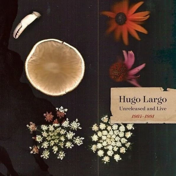 Huge, Large, and Electric: Hugo Largo 1984-1991