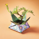 Alternative view 2 of Earth Cosmic Seed Kit