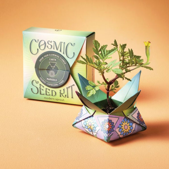 Earth Cosmic Seed Kit