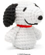 Snoopy Learn to Crochet Kit