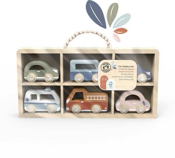 Toy Car Display Case w/6 cars