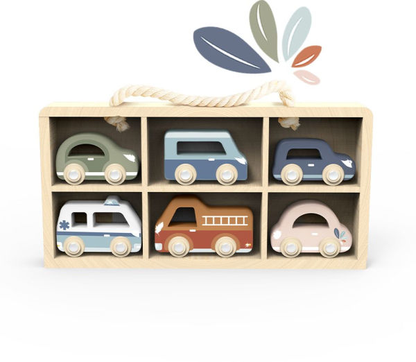 Toy Car Display Case w/6 cars