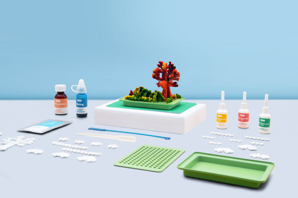 Crystal Chemistry Garden