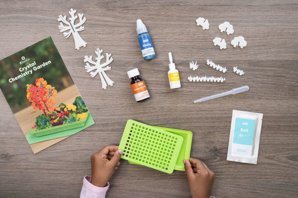 Crystal Chemistry Garden