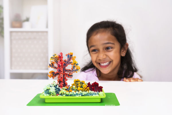 Crystal Chemistry Garden