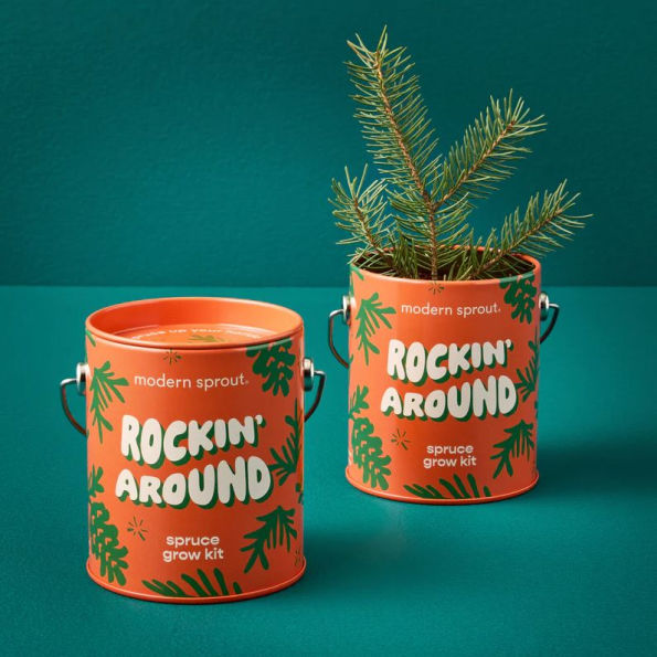 Rockin' Around Spruce Complimentary Color Grow Kit