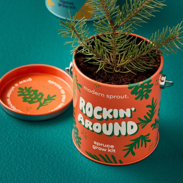 Rockin' Around Spruce Complimentary Color Grow Kit