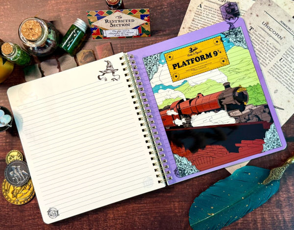 Harry Potter Sorting Hat Tabbed Journal