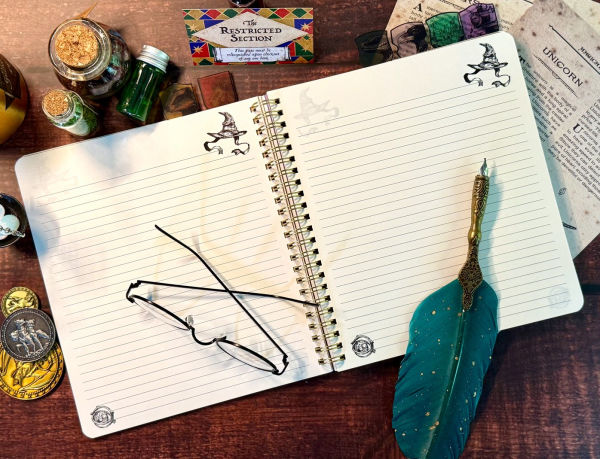 Harry Potter Sorting Hat Tabbed Journal