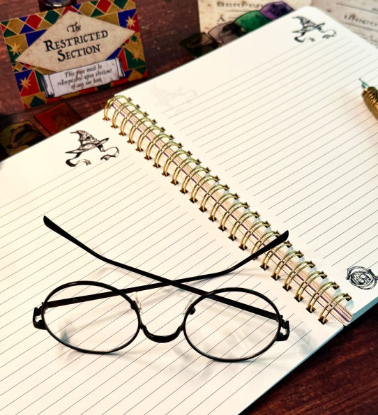 Harry Potter Sorting Hat Tabbed Journal