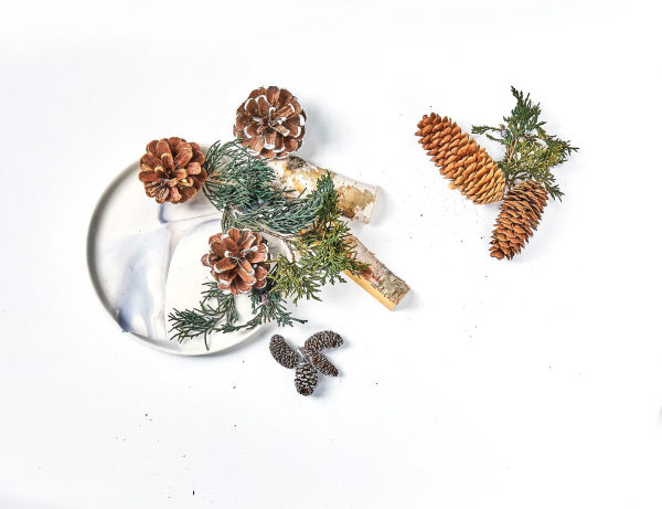 Roland Pine 12 oz Potpourri