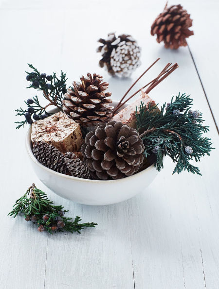 Roland Pine 12 oz Potpourri