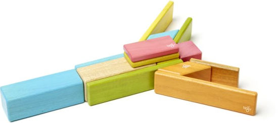 tegu magnetic blocks 14 piece