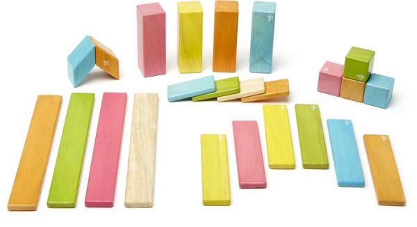 24 Piece Tegu Magnetic Wooden Block Set, Tints