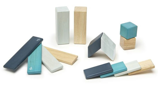 tegu magnetic wooden block set