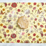 Alternative view 8 of Bakers Bundle Reusable Food Wraps