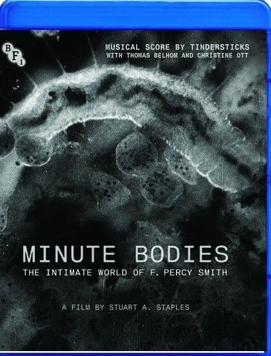 Minute Bodies: The Intimate World of F. Percy Smith [Blu-ray]