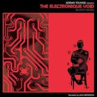 Title: Adrian Younge Presents the Electronique Void, Artist: Adrian Younge