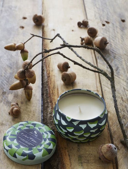 Roland Pine Small Candle