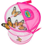 Title: Nature Bound Bug & Butterfly Village (Pink)