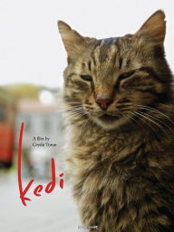 Title: Kedi