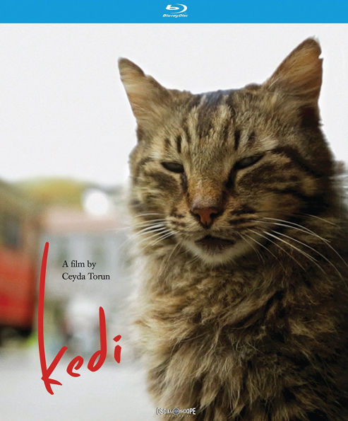 Kedi [Blu-ray]