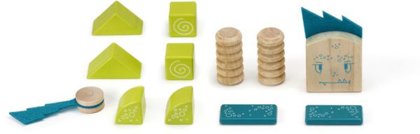 Zip Zap-Tegu Magnetic Wooden Block Set